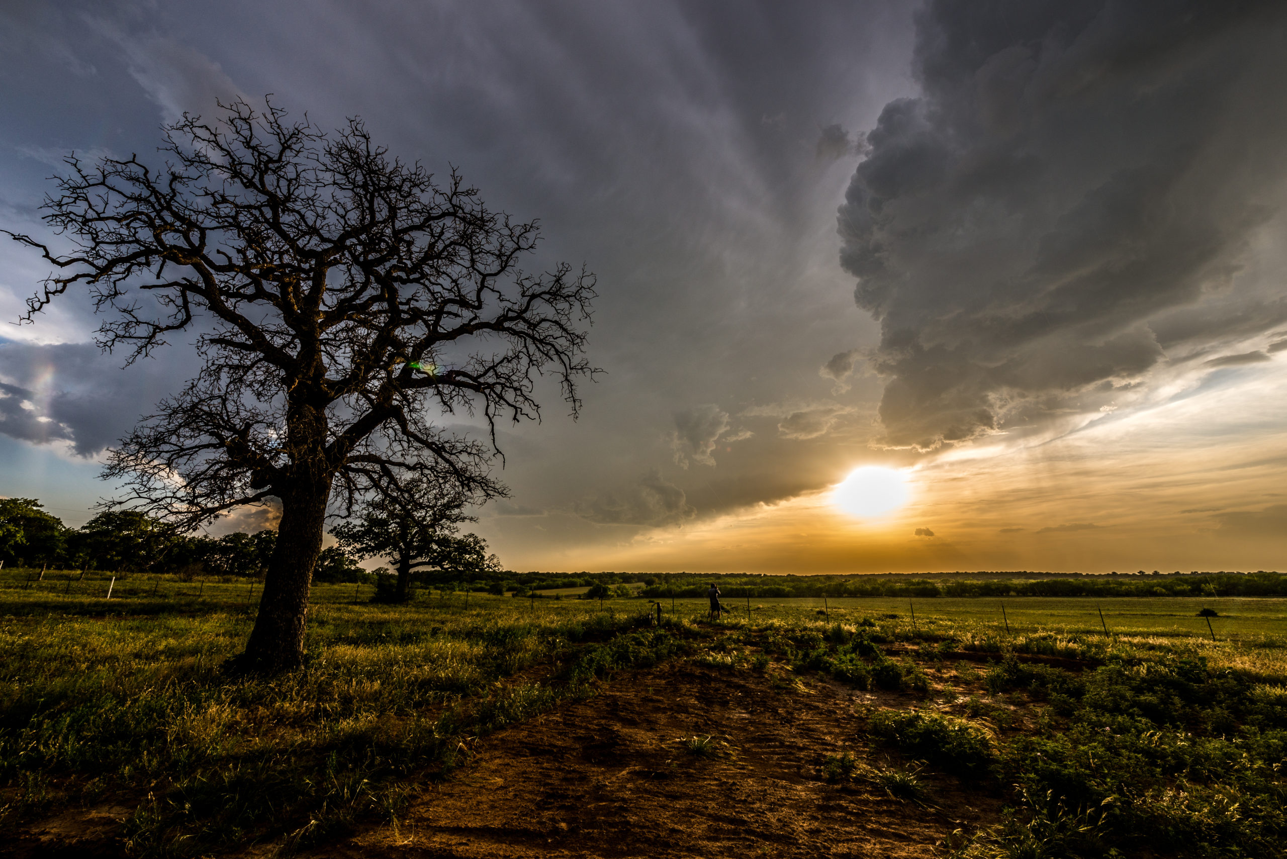 Spring Storm Questions and Answers