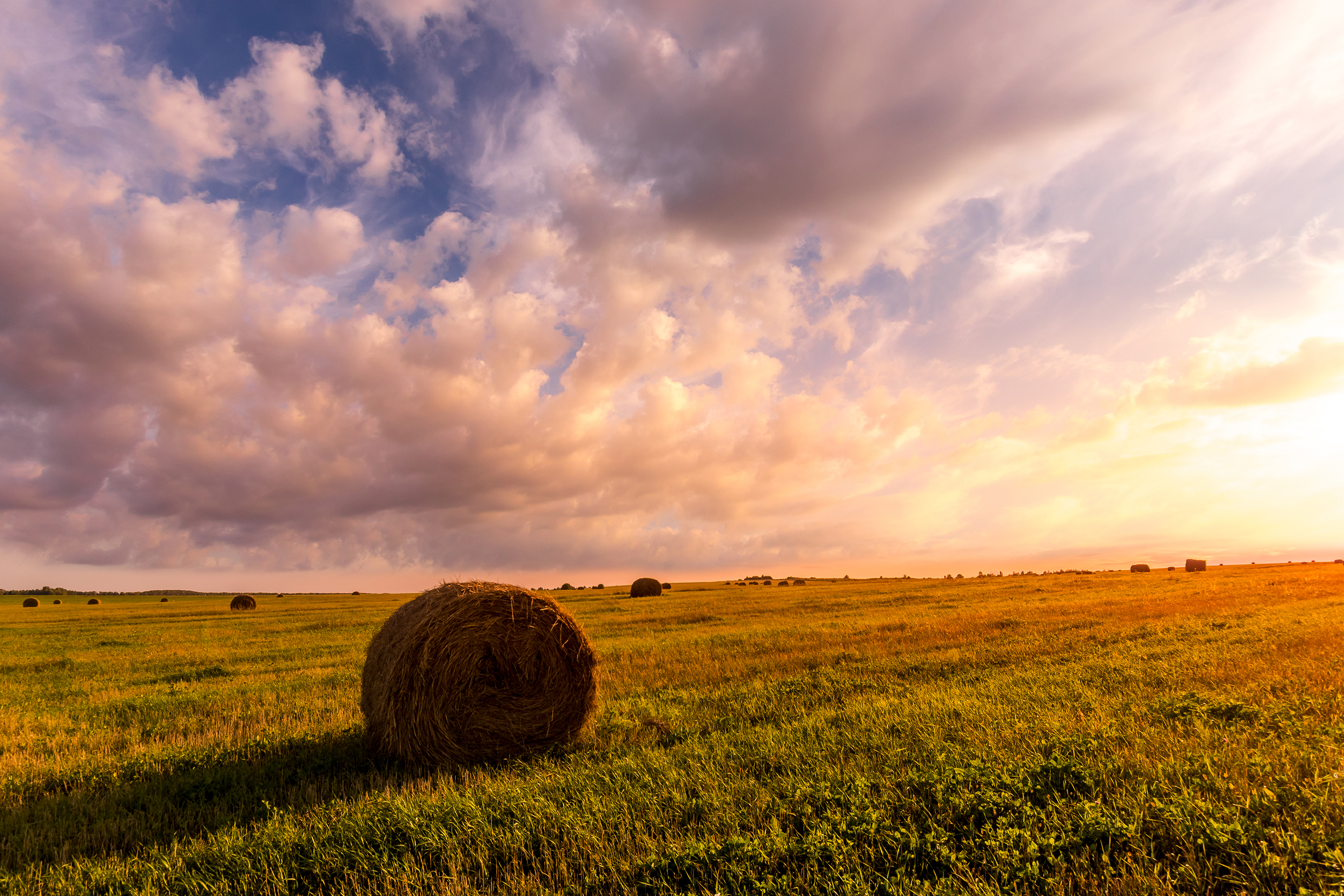 USDA Farm Loans: 3 Things You Must Know When Getting Started