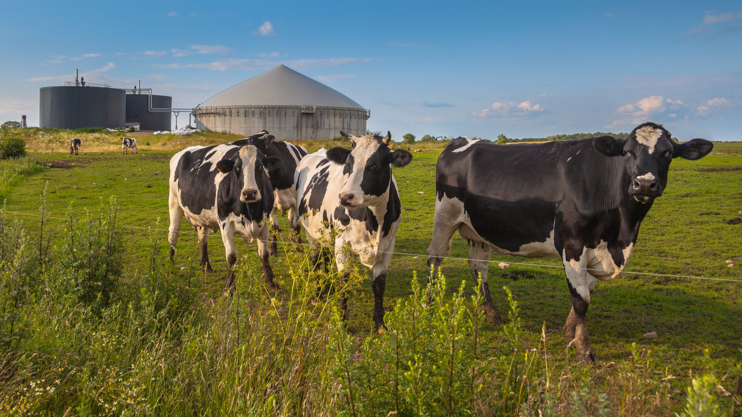 5 Reasons Why Your Feedstock Operation Needs An Anaerobic Digester