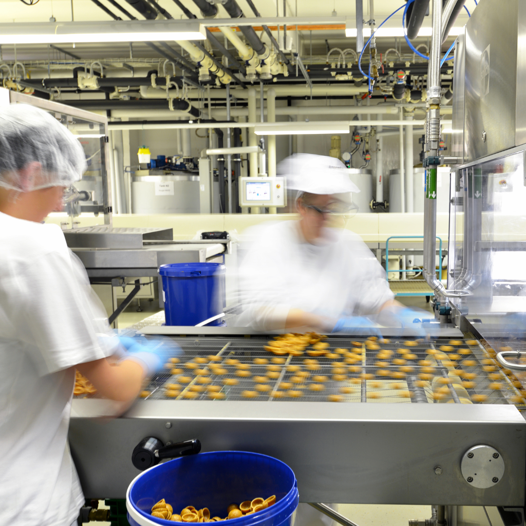 USDA Business Loan Success Stories: Financing for Food Manufacturing