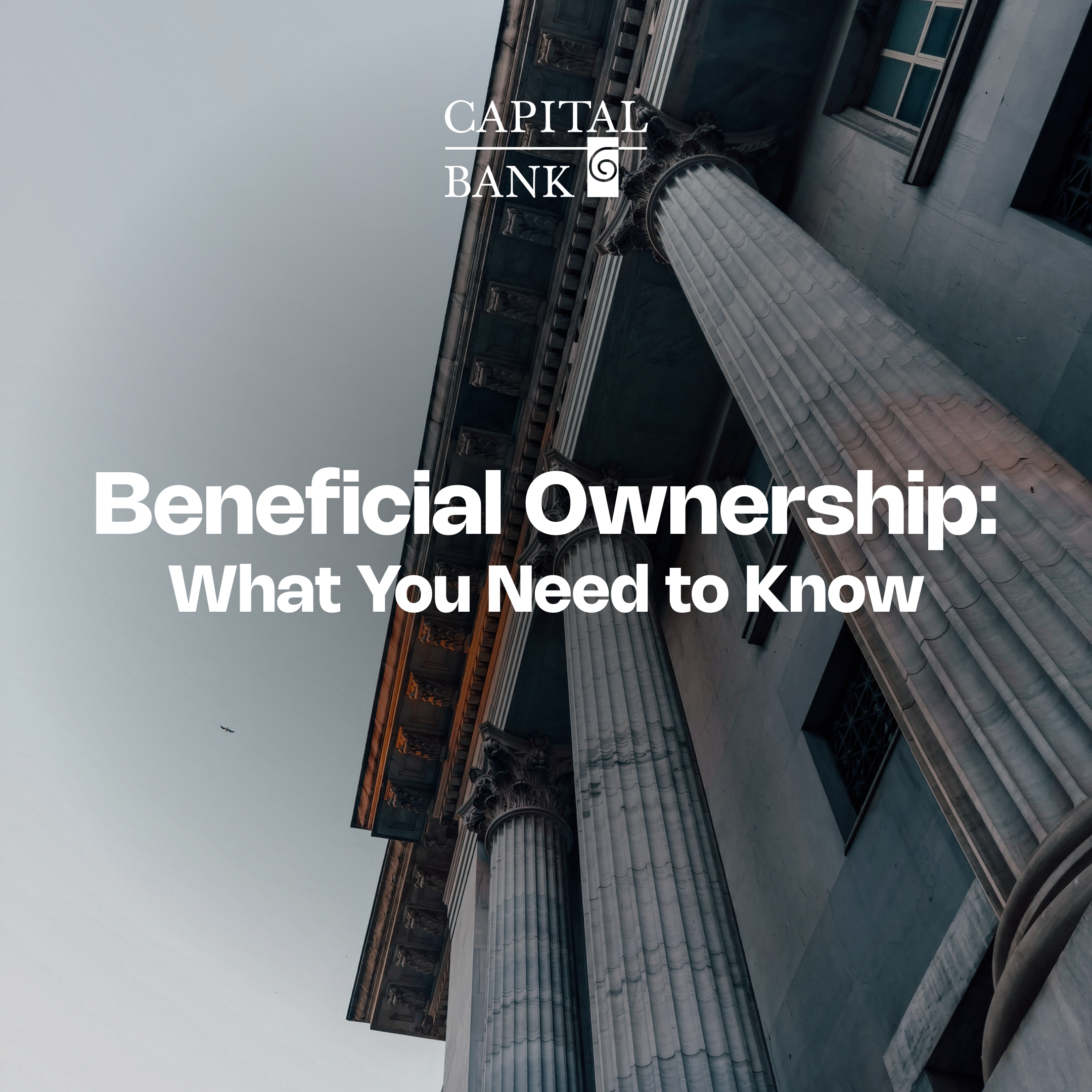 Beneficial Ownership: What You Need to Know