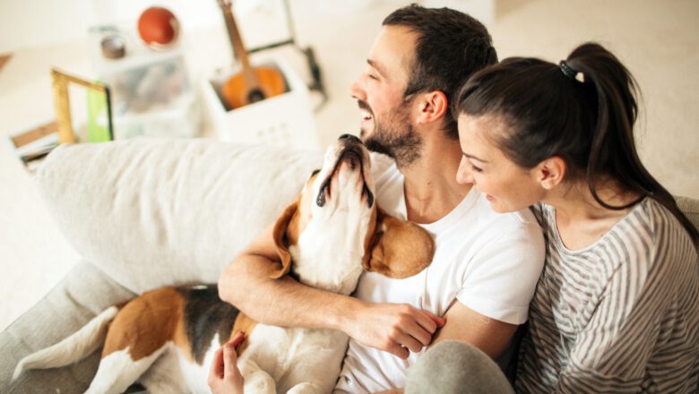 Buying a New House
