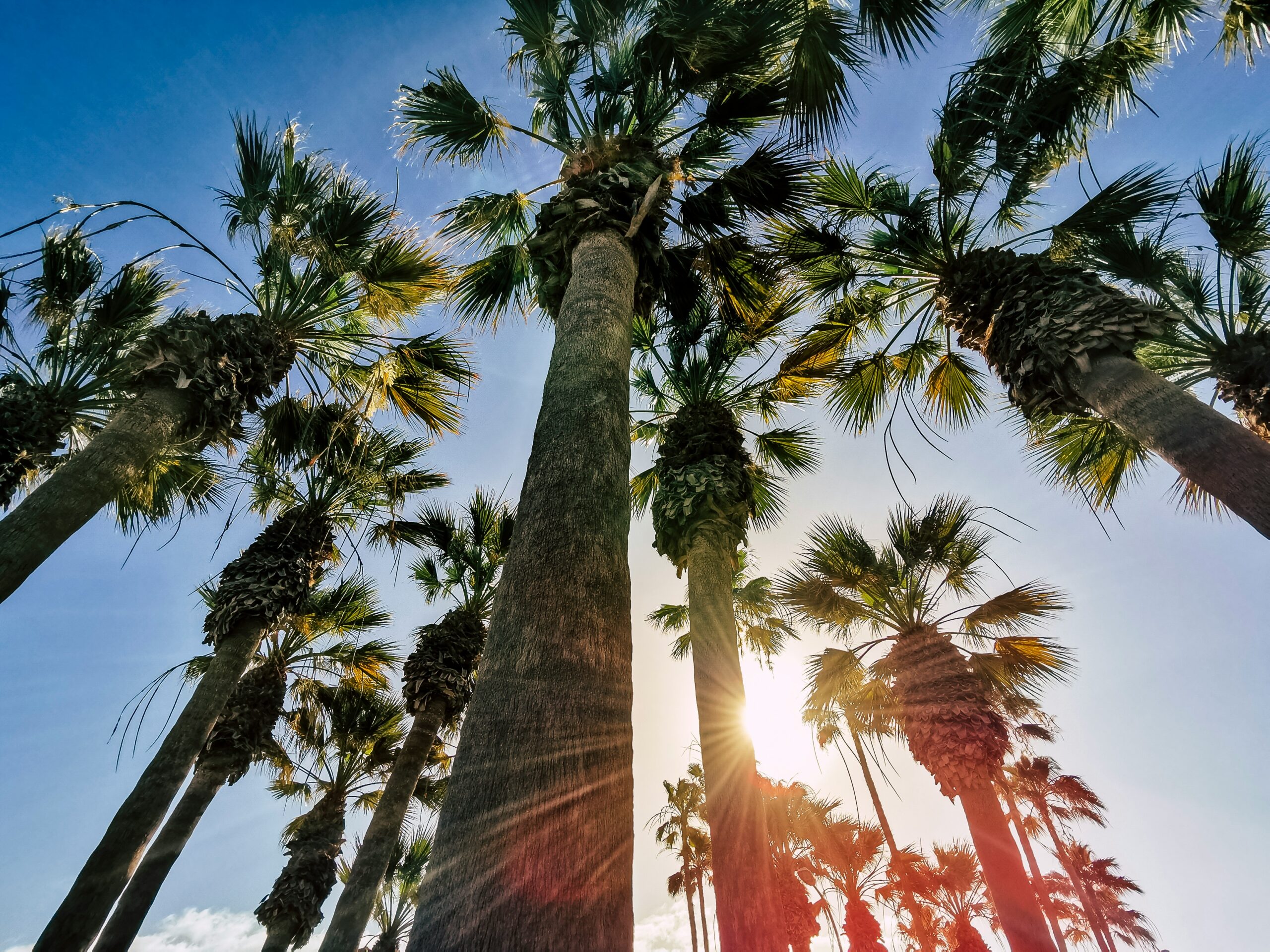 2025 Florida Title Trends Every Company Should Be Watching